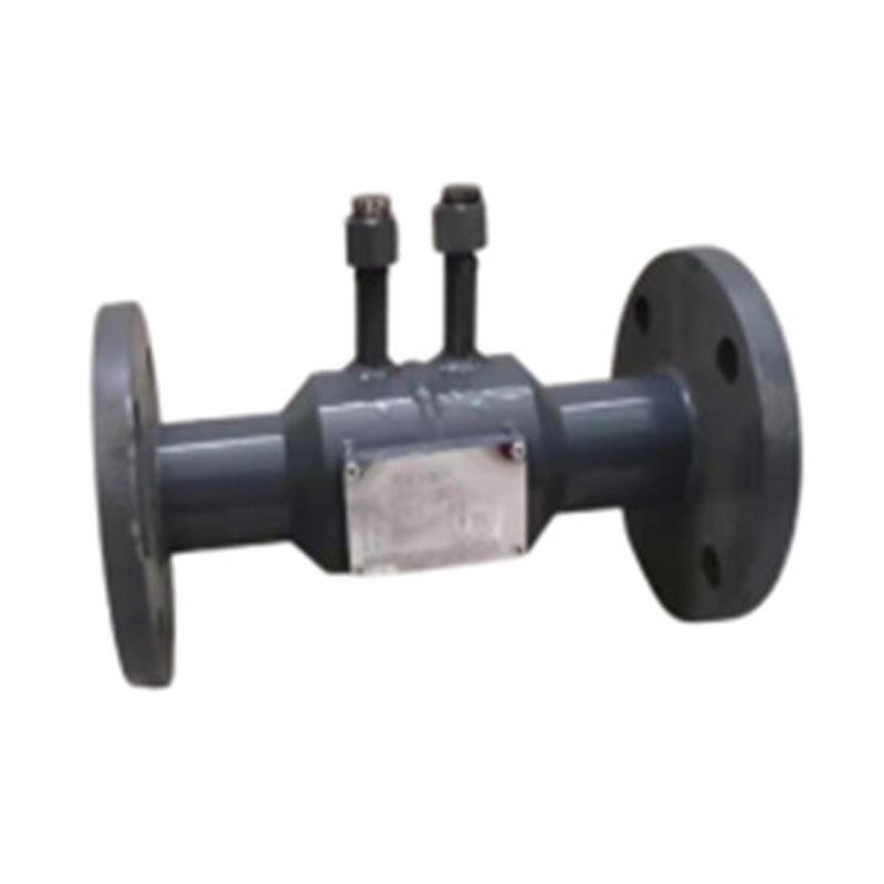 ZWZDH Nozzle flowmeter